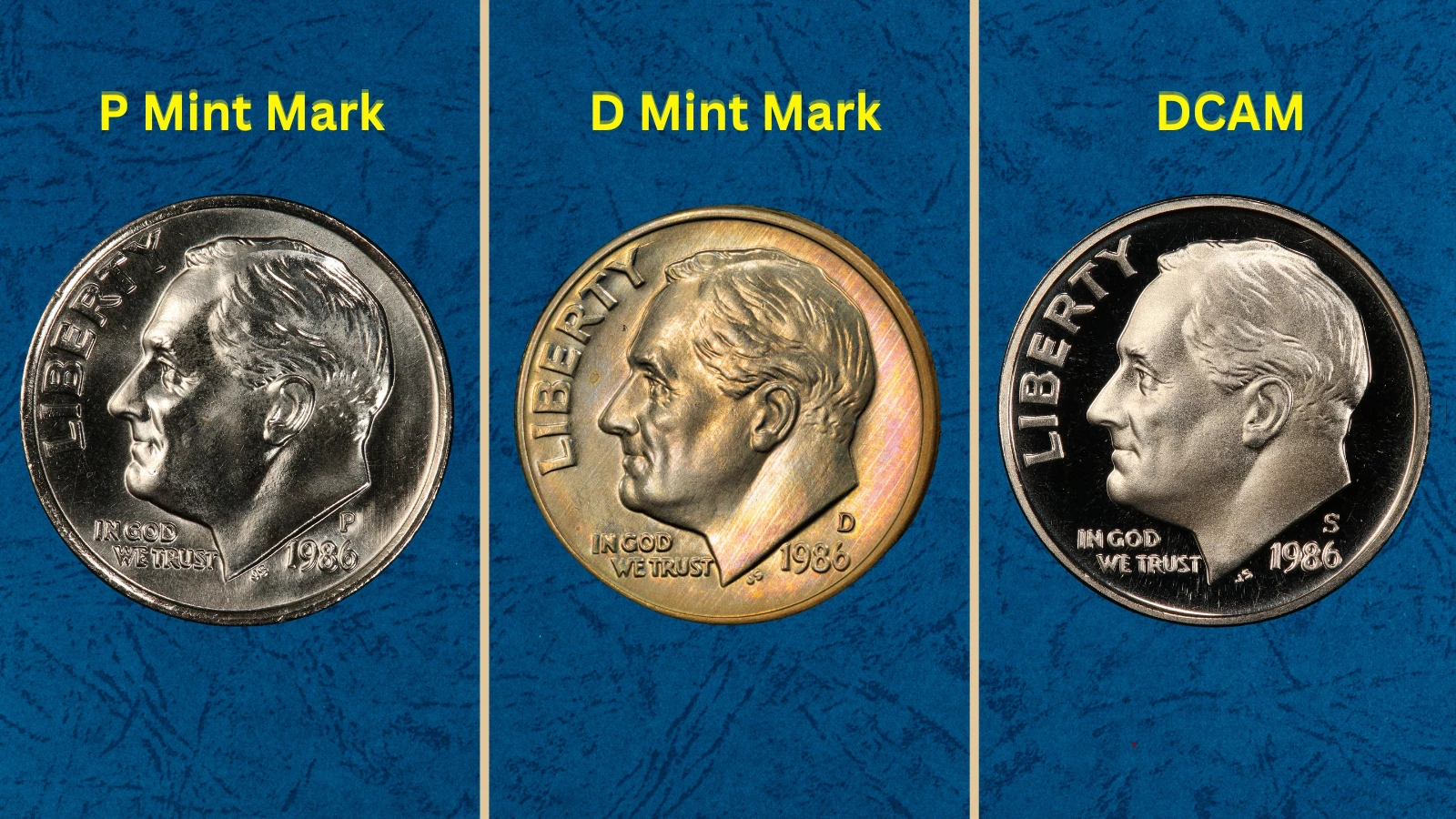 Group of 1986 Roosevelt dimes from Philadelphia and Denver mints showing the scale of production